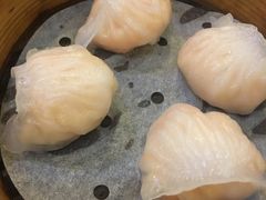 虾饺-添好运点心专门店(深水埗店)
