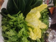 -草原传奇鲜羊火锅(桥北店)