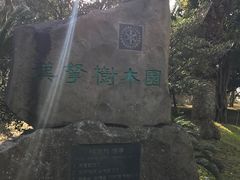 -汉拿树木园