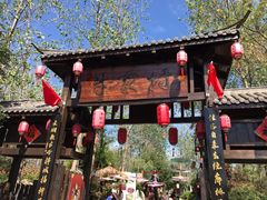 -合肥滨湖国家森林公园