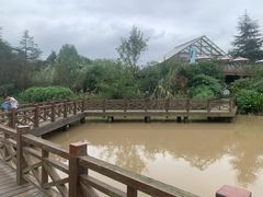 -桤木河湿地公园