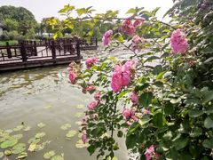 -云龙湖旅游景区