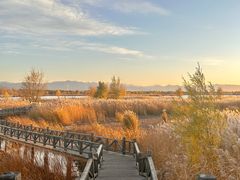 -野鸭湖国家湿地公园
