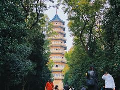 -灵谷景区