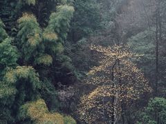 -藏龙百瀑风景区