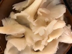 平菇-吃皮火锅馆(苏宁店)