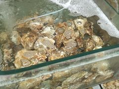-四海鲜渔家菜(黄金海岸店)
