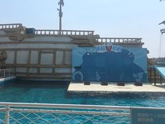 -秦皇岛乐岛海洋王国