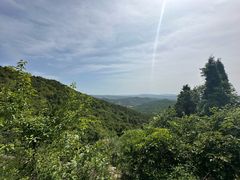 -照金香山旅游景区