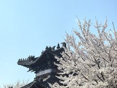 -三国水浒景区(无锡影视基地)