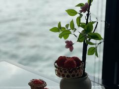 -柳莺湖上·湖景餐厅·江南菜(西湖店)