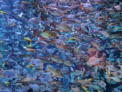 -成都浩海立方海洋公园