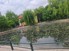 -黛秀湖公园
