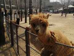 -大连森林动物园