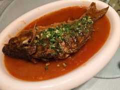 -老雒阳面馆·水席·洛阳菜(王城路店)