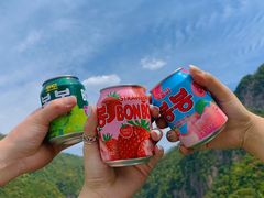 -龙湾潭国家森林公园