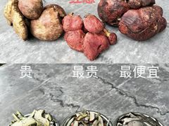 -菌之家·专业纯野生菌火锅·特色炒菌