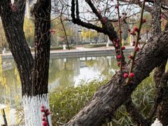 -杭州师范大学(下沙校区)