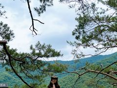 -五女峰国家森林公园