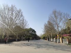 -望湖公园