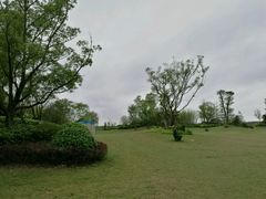 -上海崇明金茂凯悦酒店