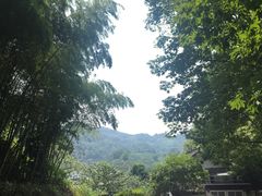-龙井村