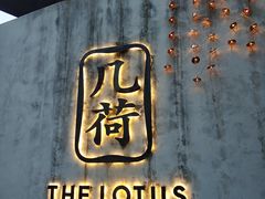 -几荷·恰似故人来(秀水广场店)