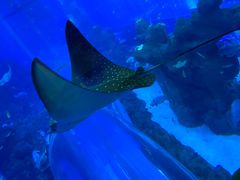 -成都浩海立方海洋公园