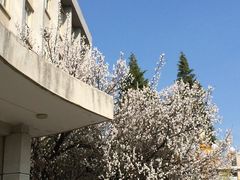 -吉林大学(南岭校区)