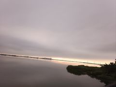 -莲花岛景区