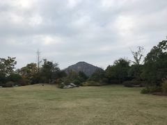 -桃花岛景观公园