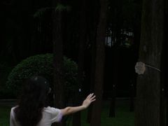 -晓港公园