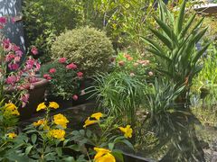 -肴约·花园式餐厅(湖里店)