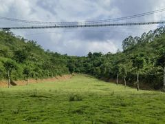 -田园寨农园观光园