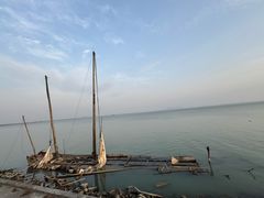 -贡湖湾湿地公园