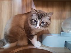 -白兔子密室(长寿路店)