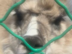 -新疆天山野生动物园