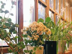-Cafe Alice咖啡爱丽丝(奥城店)