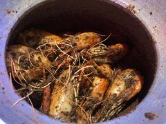 -钳真多钓虾馆·小龙虾海鲜烧烤(九六广场店)
