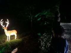-杭州少年儿童公园