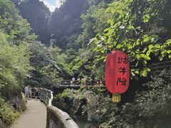 -石台牯牛降景区