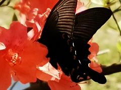 -杭州六谷生态休闲农庄有限公司