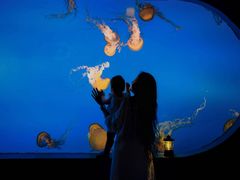 -太平洋海底世界