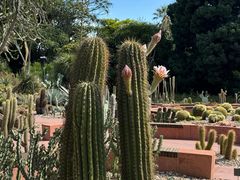 -墨尔本皇家植物园