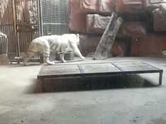 -鄂尔多斯野生动物园