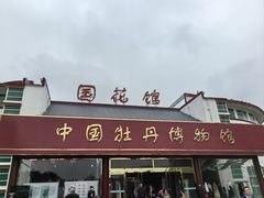 -曹州牡丹园