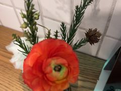 -gaga(深圳南山益田假日广场店)