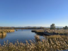 -野鸭湖国家湿地公园