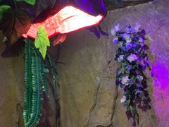 -醉小酒馆·川菜·江湖菜·重庆菜(观音桥旗舰店)