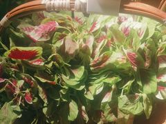 -德叔阙里·衢州菜馆(月湖店)